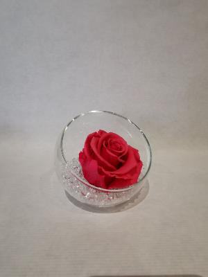 Rose éternelle fuchsia boule 
